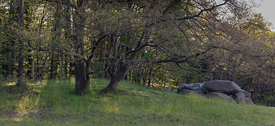BUITEN BEELD Foto: 315451