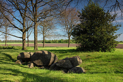 BUITEN BEELD Foto: 315453