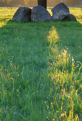 BUITEN BEELD Foto: 315461