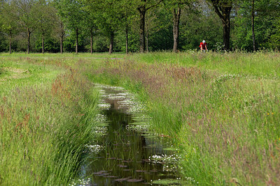 BUITEN BEELD Foto: 315472