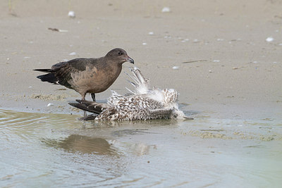 BUITEN BEELD Foto: 315492