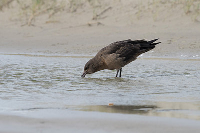 BUITEN BEELD Foto: 315493