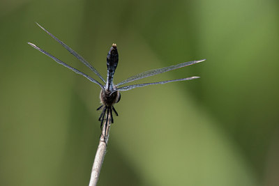 BUITEN BEELD Foto: 315565