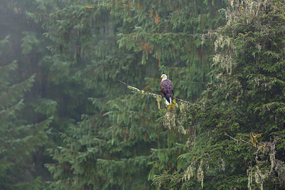 BUITEN BEELD Foto: 315630