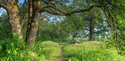 BUITEN BEELD Foto: 315643