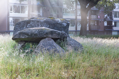 BUITEN BEELD Foto: 315731