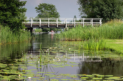 BUITEN BEELD Foto: 315769
