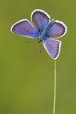 BUITEN BEELD Foto: 315779