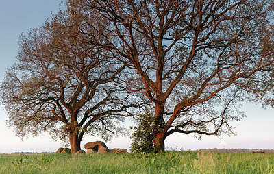 BUITEN BEELD Foto: 315792