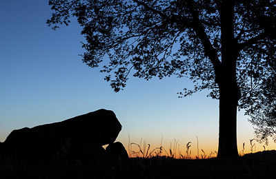 BUITEN BEELD Foto: 315793