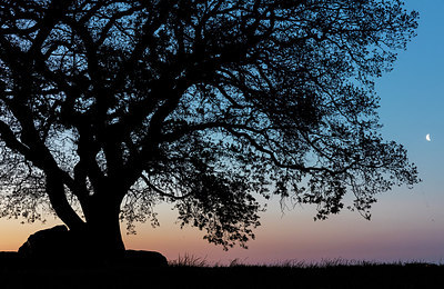 BUITEN BEELD Foto: 315795