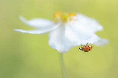 BUITEN BEELD Foto: 315824