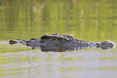 BUITEN BEELD Foto: 315830