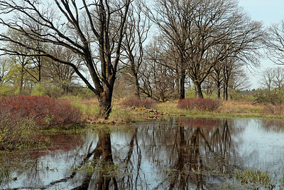 BUITEN BEELD Foto: 315881