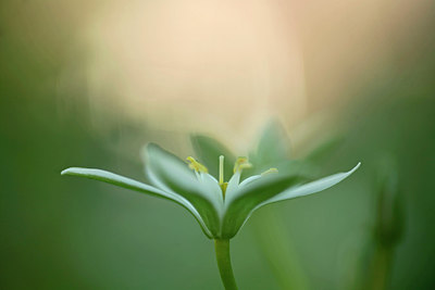 BUITEN BEELD Foto: 315888