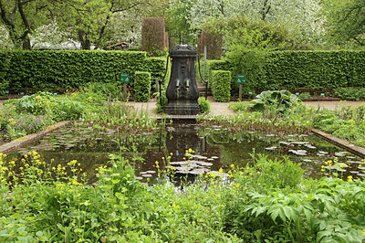 BUITEN BEELD Foto: 315890