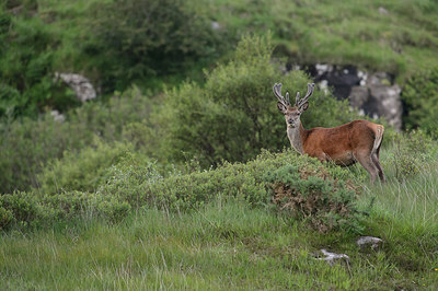 BUITEN BEELD Foto: 315956