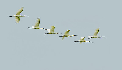 BUITEN BEELD Foto: 316072