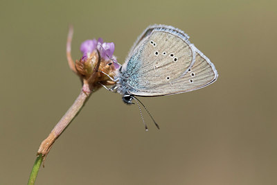 BUITEN BEELD Foto: 316079