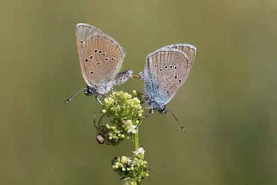 BUITEN BEELD Foto: 316080