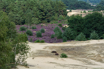 BUITEN BEELD Foto: 316171