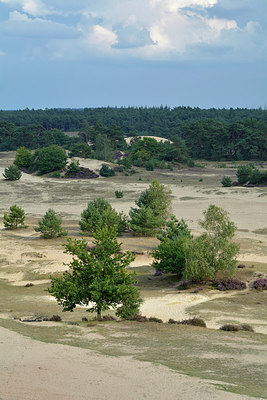 BUITEN BEELD Foto: 316172