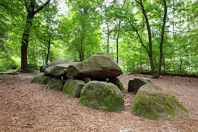 BUITEN BEELD Foto: 316190