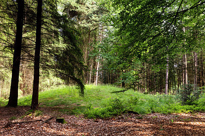 BUITEN BEELD Foto: 316194