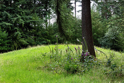 BUITEN BEELD Foto: 316196