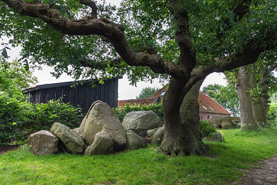 BUITEN BEELD Foto: 316211