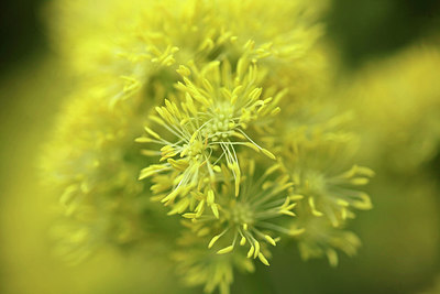 BUITEN BEELD Foto: 316246