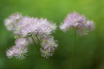BUITEN BEELD Foto: 316249
