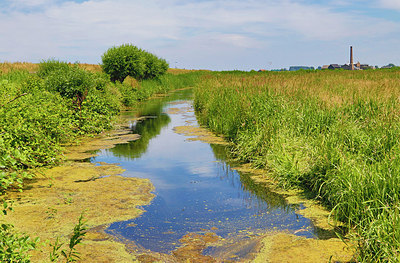 BUITEN BEELD Foto: 316252