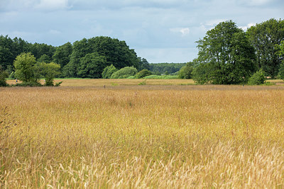 BUITEN BEELD Foto: 316259