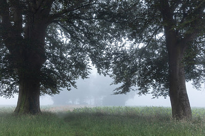 BUITEN BEELD Foto: 316295