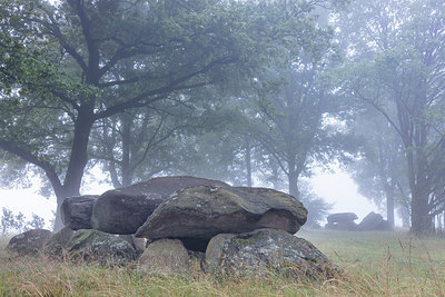 BUITEN BEELD Foto: 316297