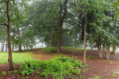 BUITEN BEELD Foto: 316306