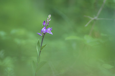 BUITEN BEELD Foto: 316328