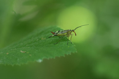 BUITEN BEELD Foto: 316340