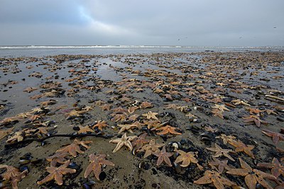 BUITEN BEELD Foto: 316347
