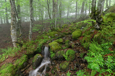 BUITEN BEELD Foto: 316385