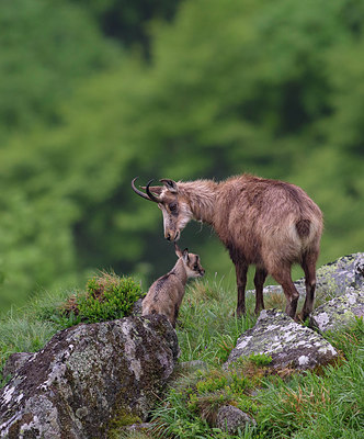 BUITEN BEELD Foto: 316404