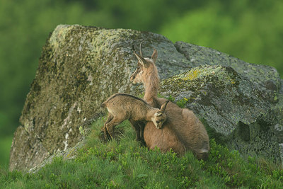 BUITEN BEELD Foto: 316406