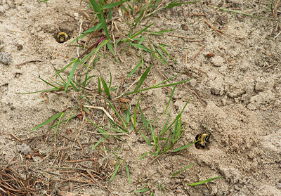 BUITEN BEELD Foto: 316411