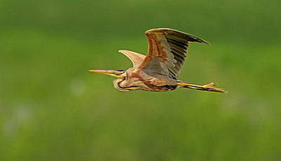 BUITEN BEELD Foto: 316441
