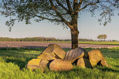 BUITEN BEELD Foto: 316456