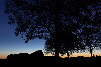 BUITEN BEELD Foto: 316460