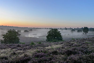 BUITEN BEELD Foto: 316472