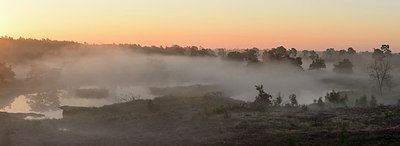 BUITEN BEELD Foto: 316474