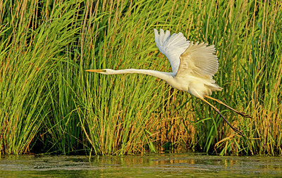 BUITEN BEELD Foto: 316529